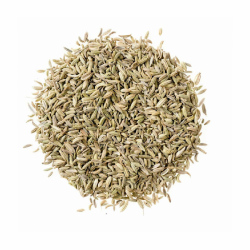 1639809305-h-250-Fennel (Mouri).png
